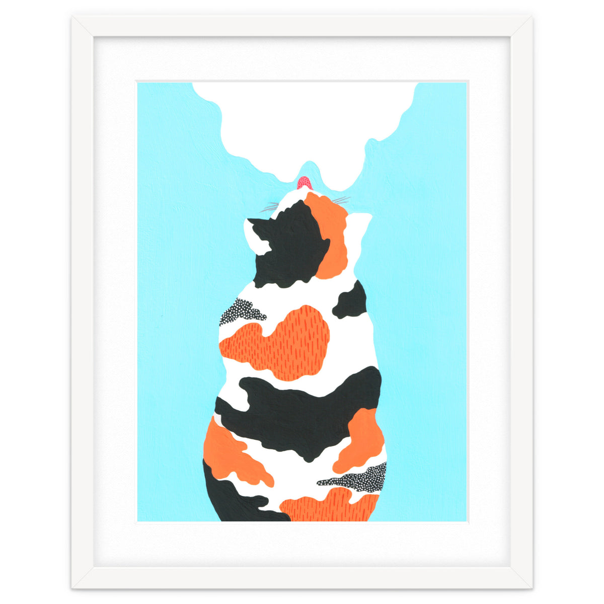 Tri Colored Calico Cat