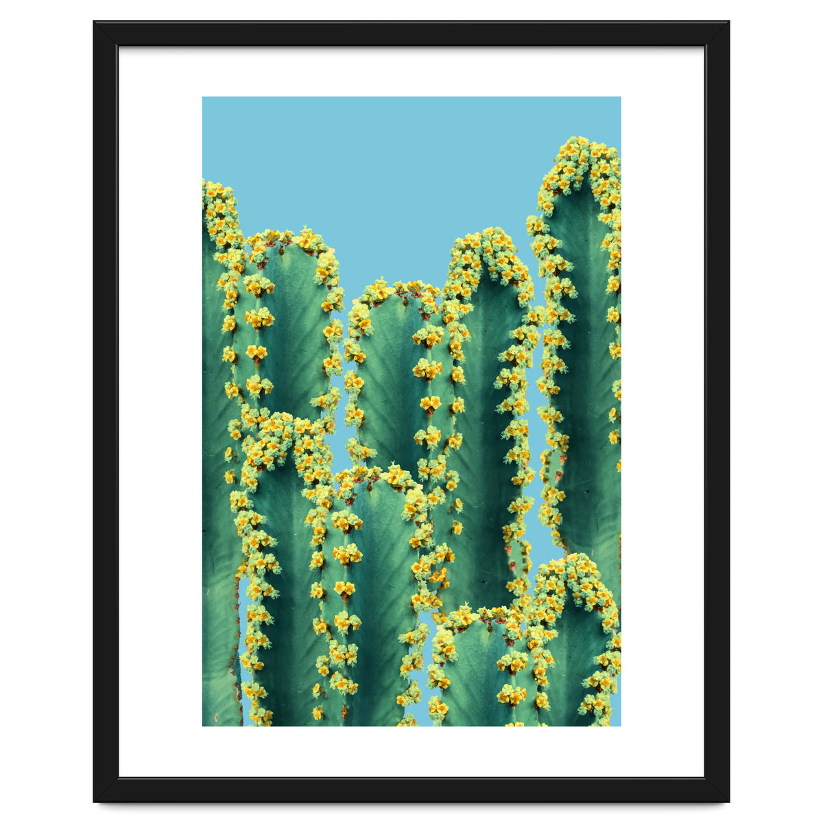 Adorned Cactus V2