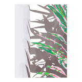 Plant & Shadow (Print Only) thumbnail