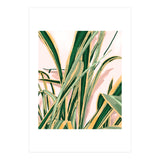 Blush Botanical Unfolding (Print Only) thumbnail