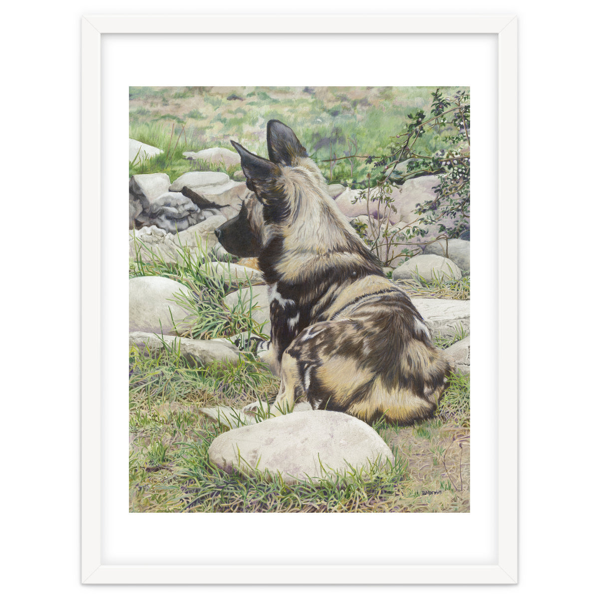 African Painted Dog I