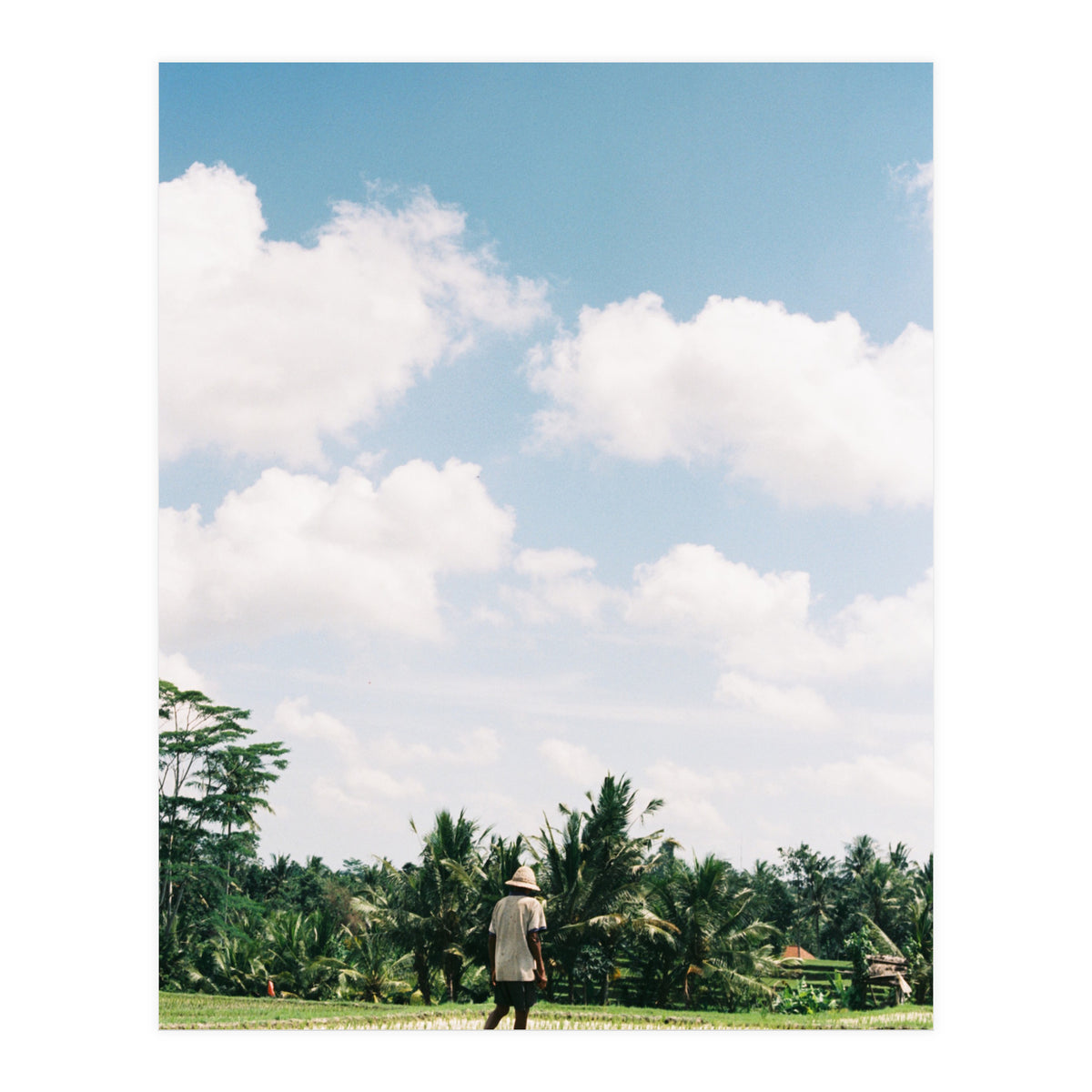 UBUD (Print Only)