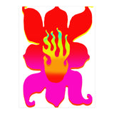 Fuego 112 Copia (Print Only) thumbnail