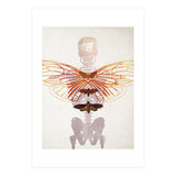 Ikarus - Like a Moth to the Flame (Print Only) thumbnail