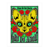 Boris Sugar Skull (Print Only) thumbnail