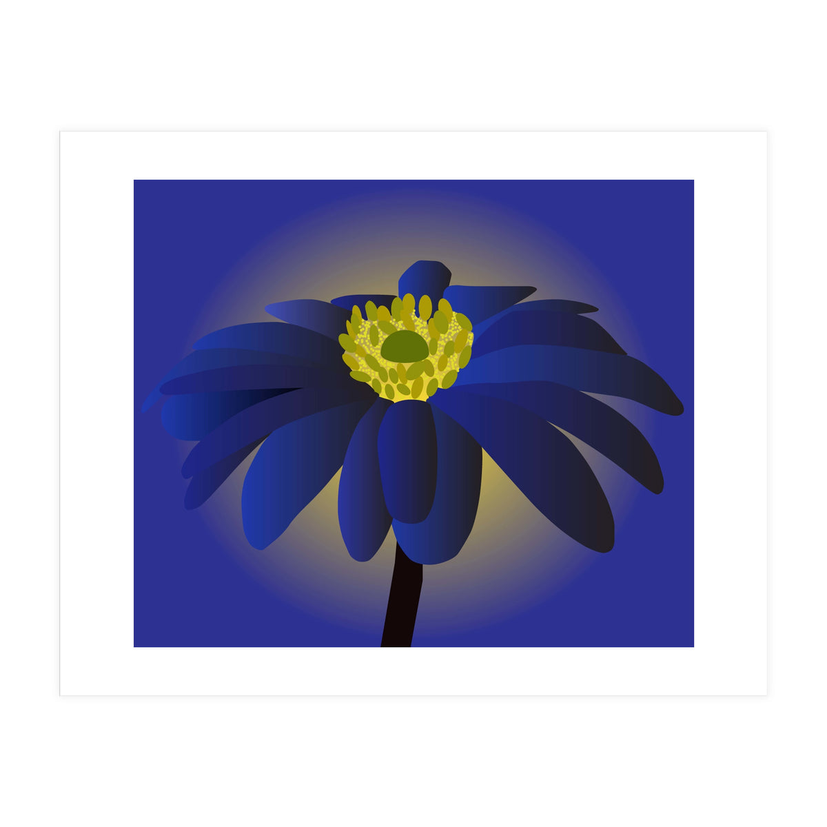 Anemone Blanda Flower Art (Print Only)