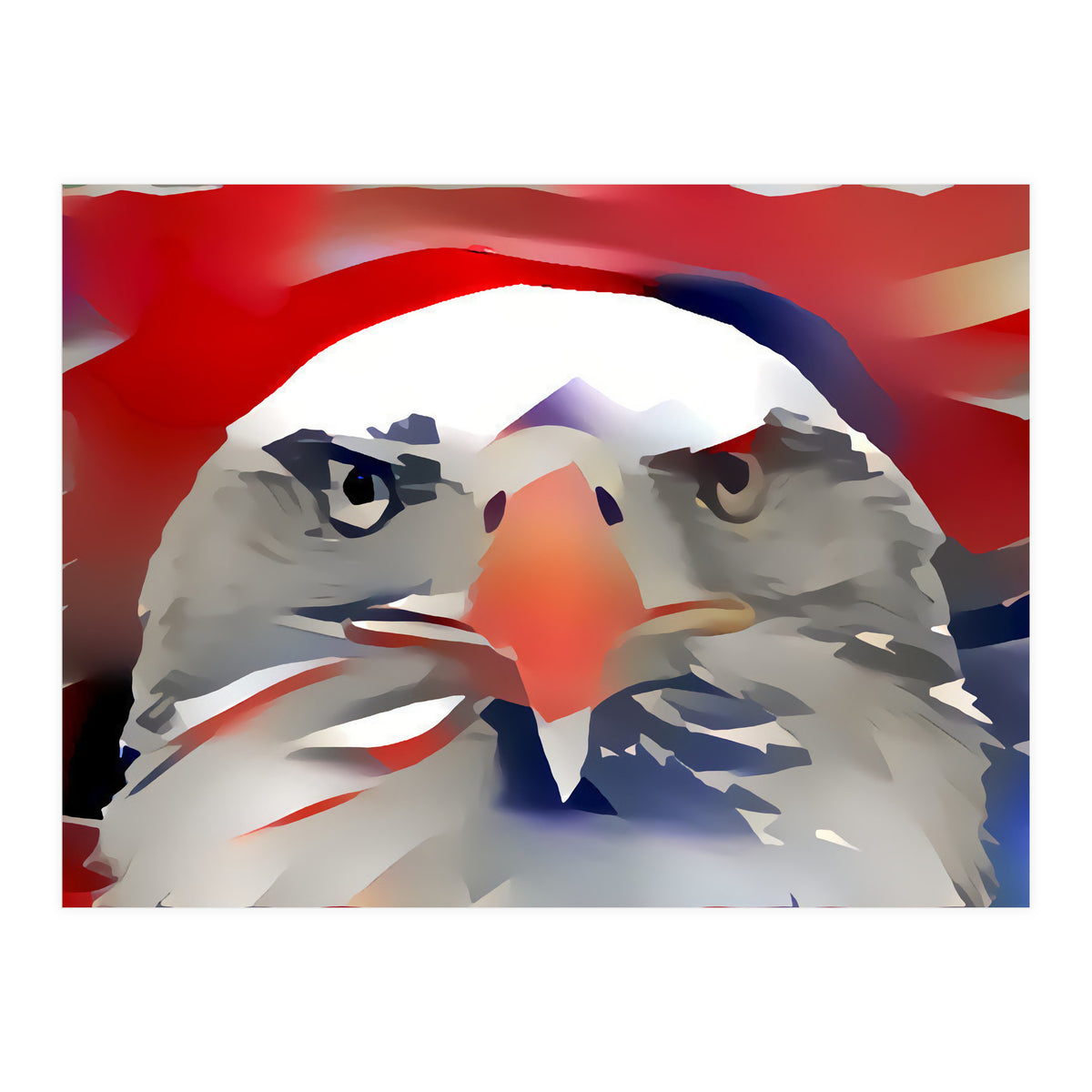 Bald Eagle (Print Only)