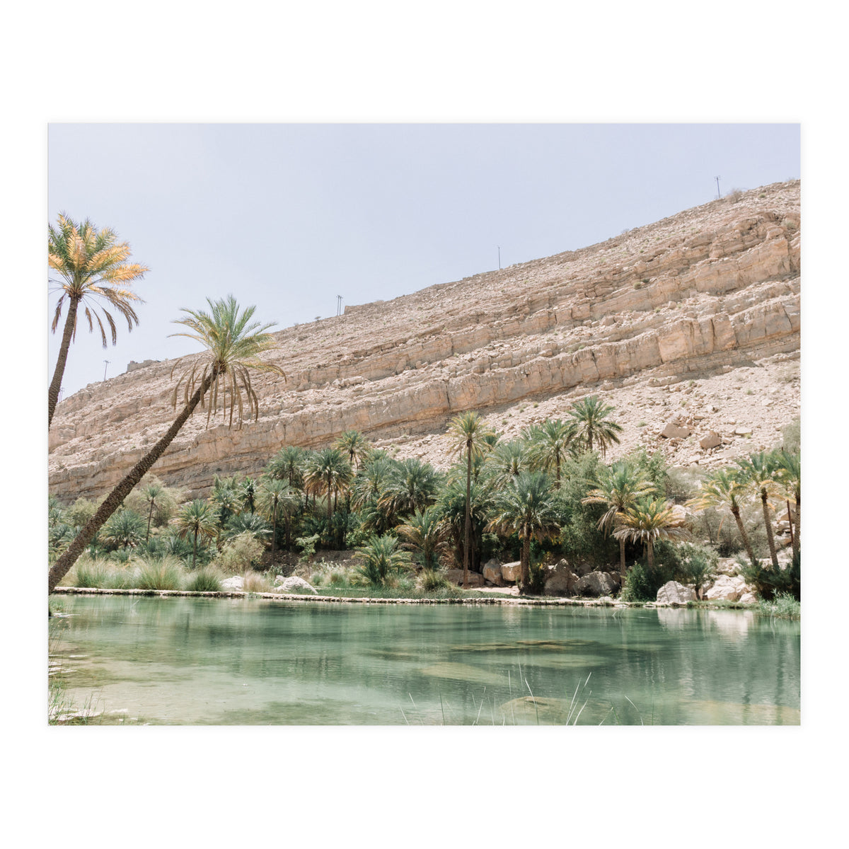 Tropical Oasis (Print Only)