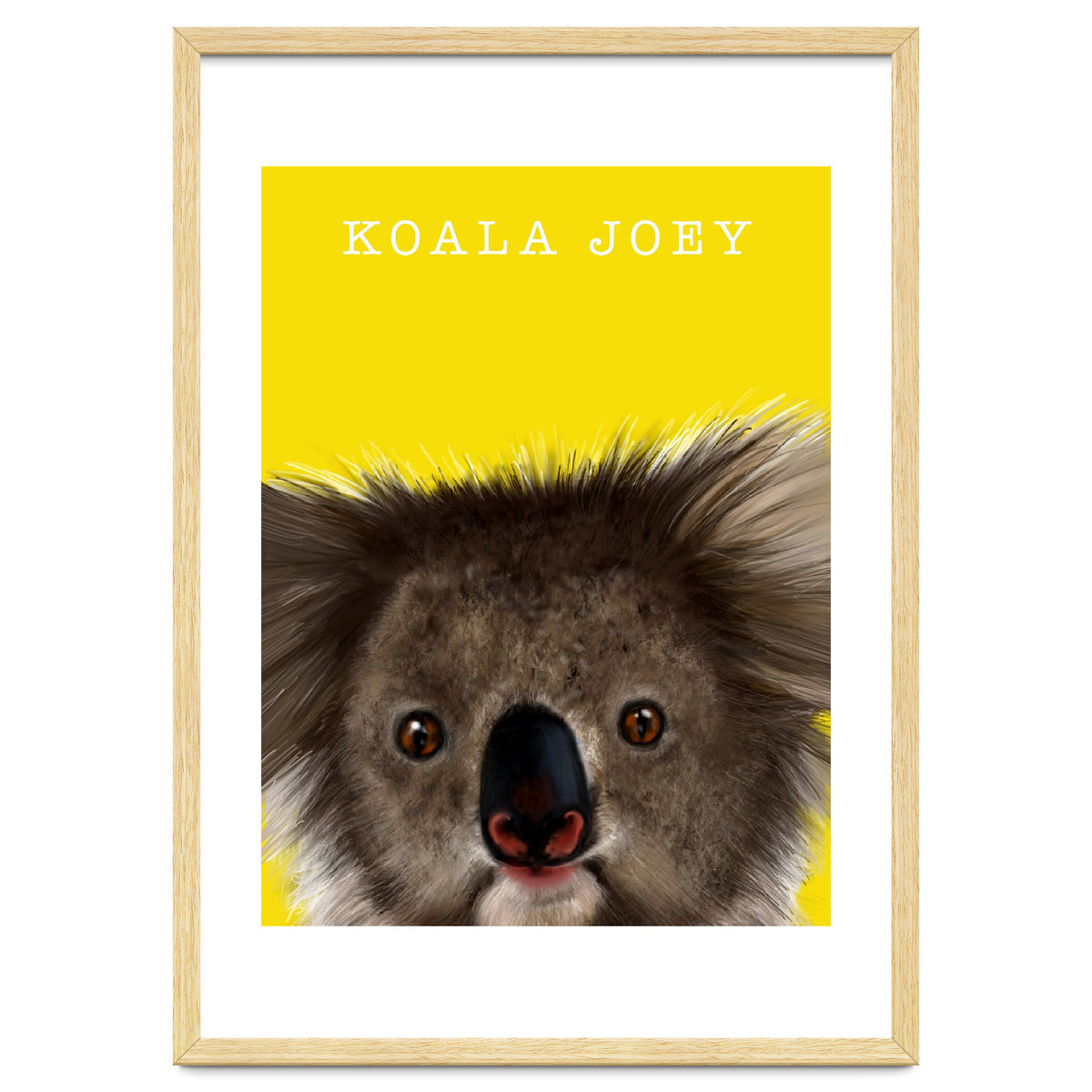Koala Joey