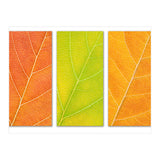 Autumn Leaves (Print Only) thumbnail