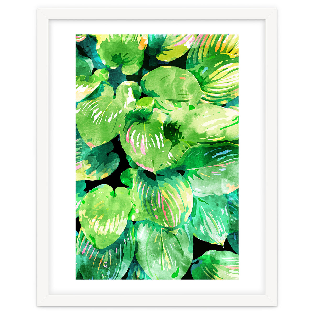 Colors Of The Jungle