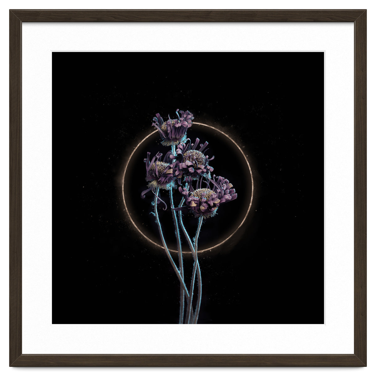 Candy-Coloured Mystery