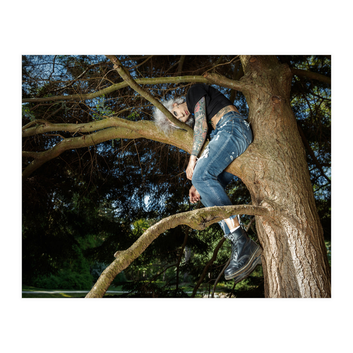 Tree Climber (Print Only)