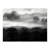 Winter mornig in Paris (Print Only) thumbnail