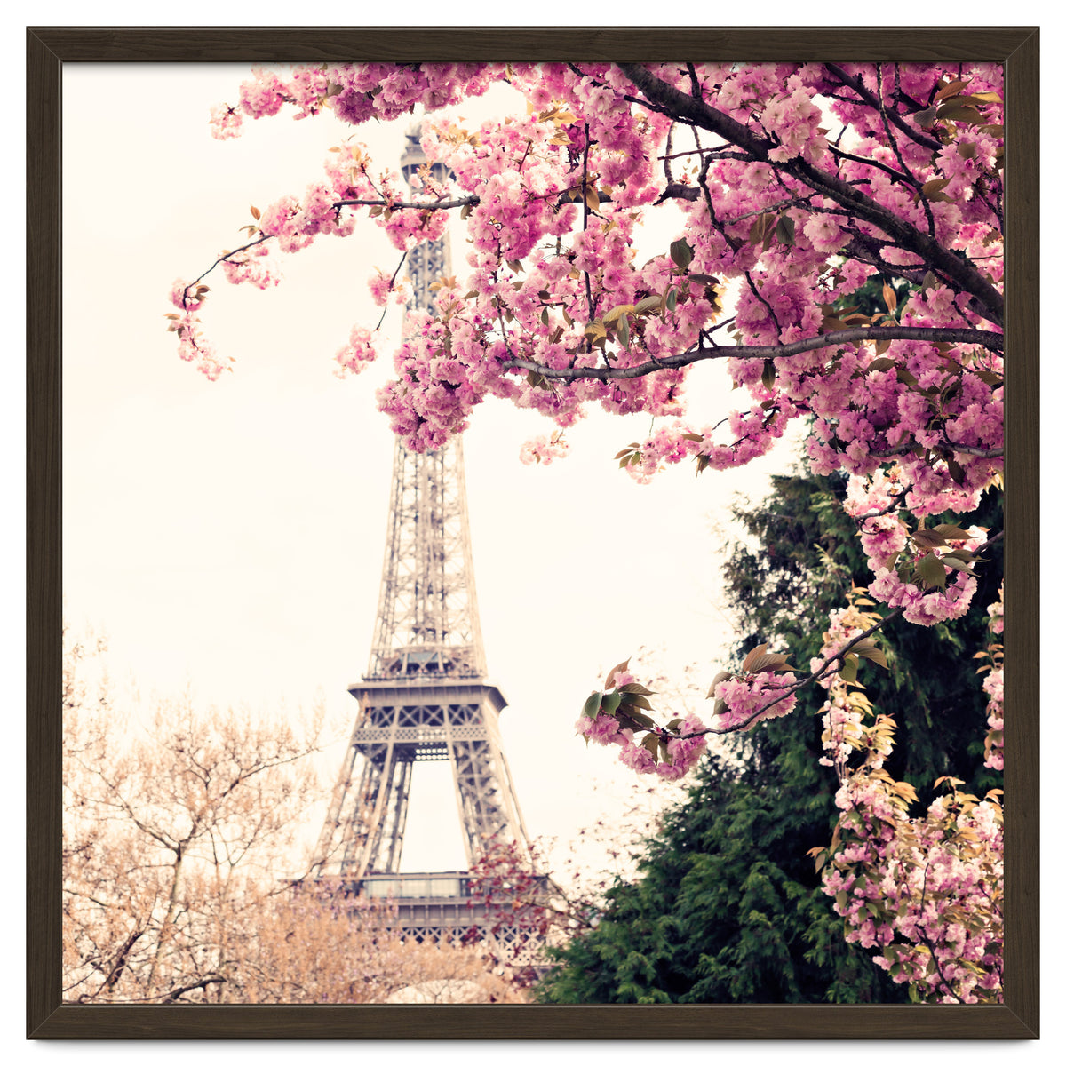 Paris in the Spring