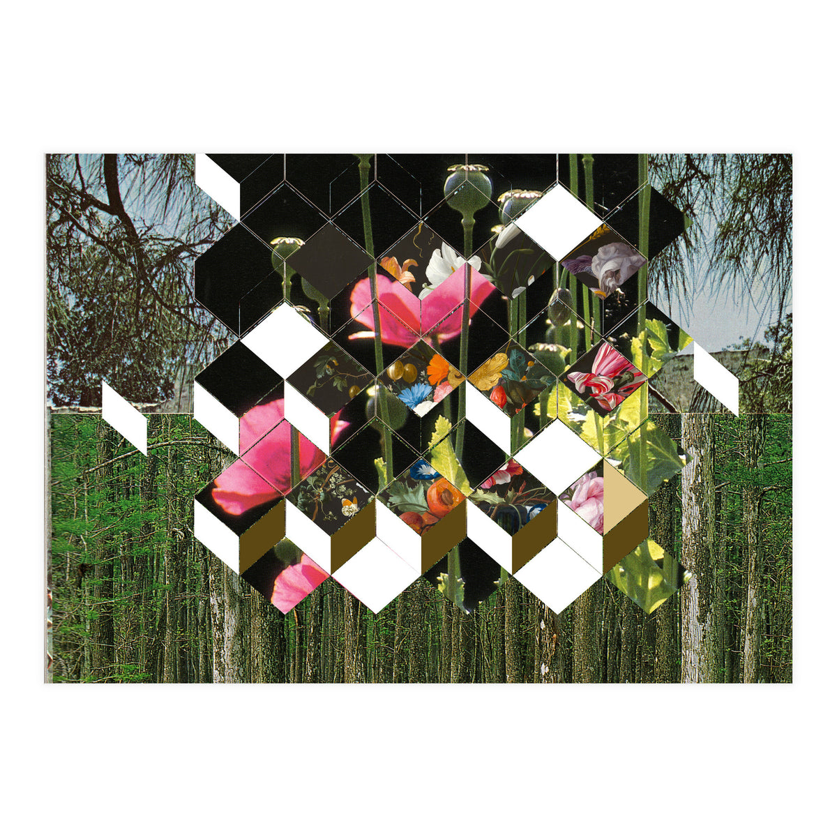 The Green (Print Only)