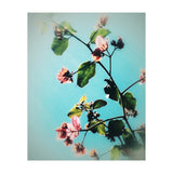 BLOOM & BEAUTY (Print Only) thumbnail