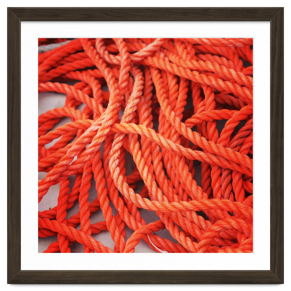 Orange ropes