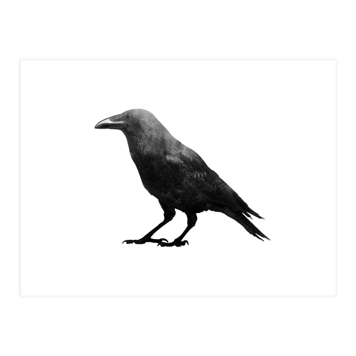 Crowscape (Print Only)