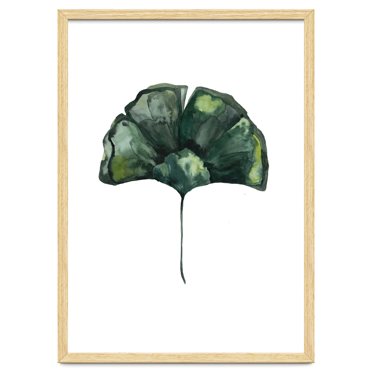 Botanical Illustration Ginko