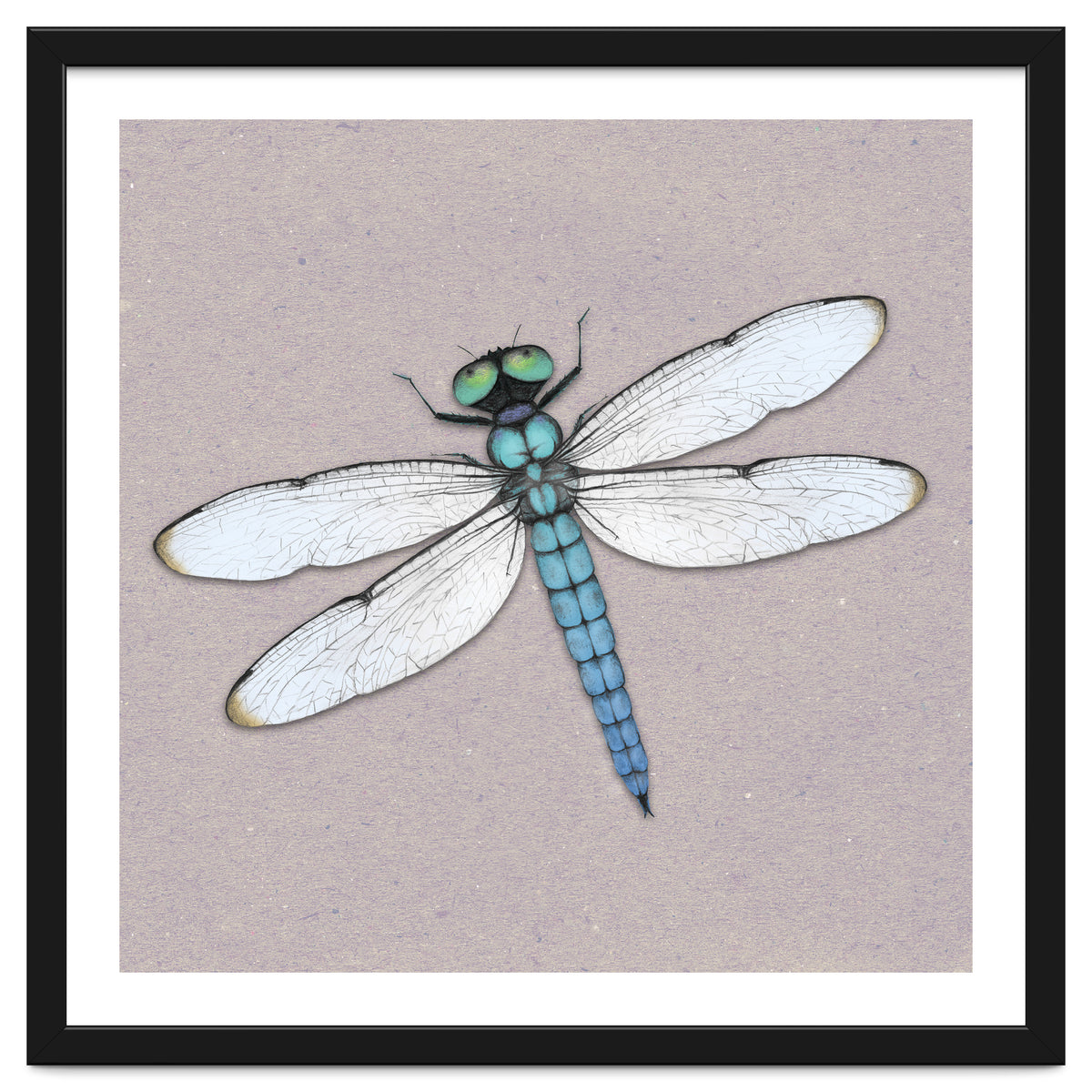 Blue dragonfly