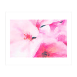 Kairos (Print Only) thumbnail