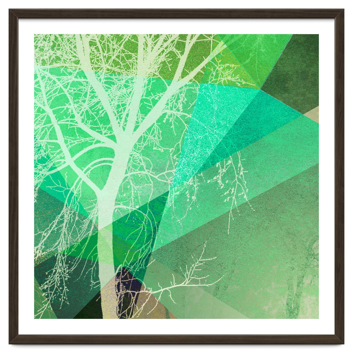 P22-B3 Trees And Triangles