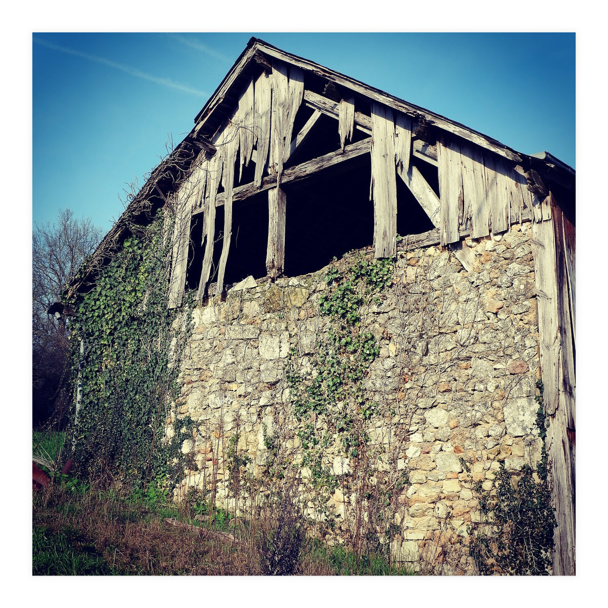 14 Fb156 B 6832 4 Ef7 9846 7817 Eea32976 (Print Only)