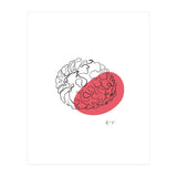 Raspberry (Print Only) thumbnail