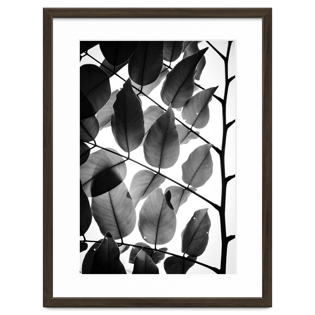 Branches and Leaves II