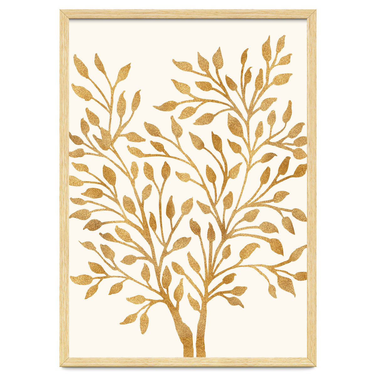 Golden Ficus 4x5
