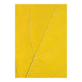 Autumn Leaf (Print Only) thumbnail