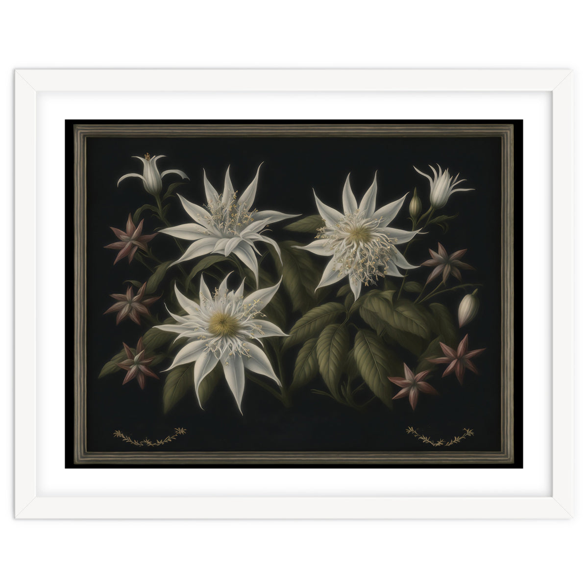 Edelweiss Vintage Illustration