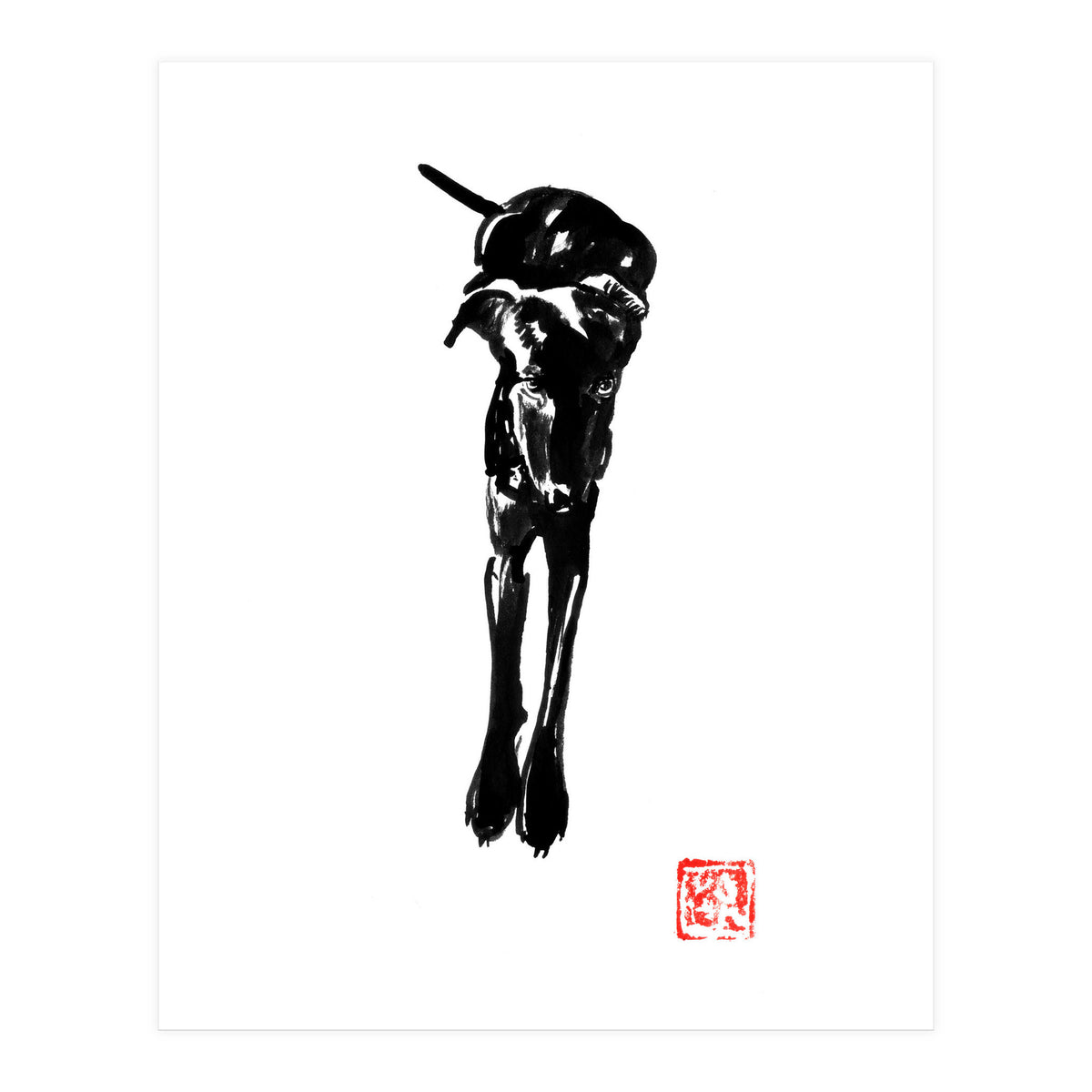 Balck Dog 02  (Print Only)