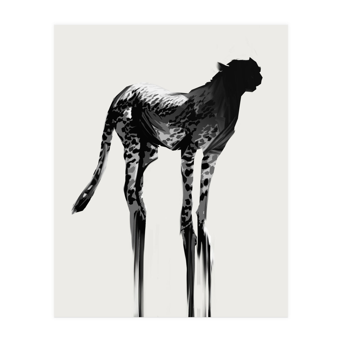 Cheetah  (Print Only)