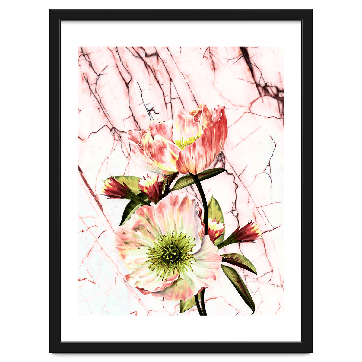 Flowering on pink marble