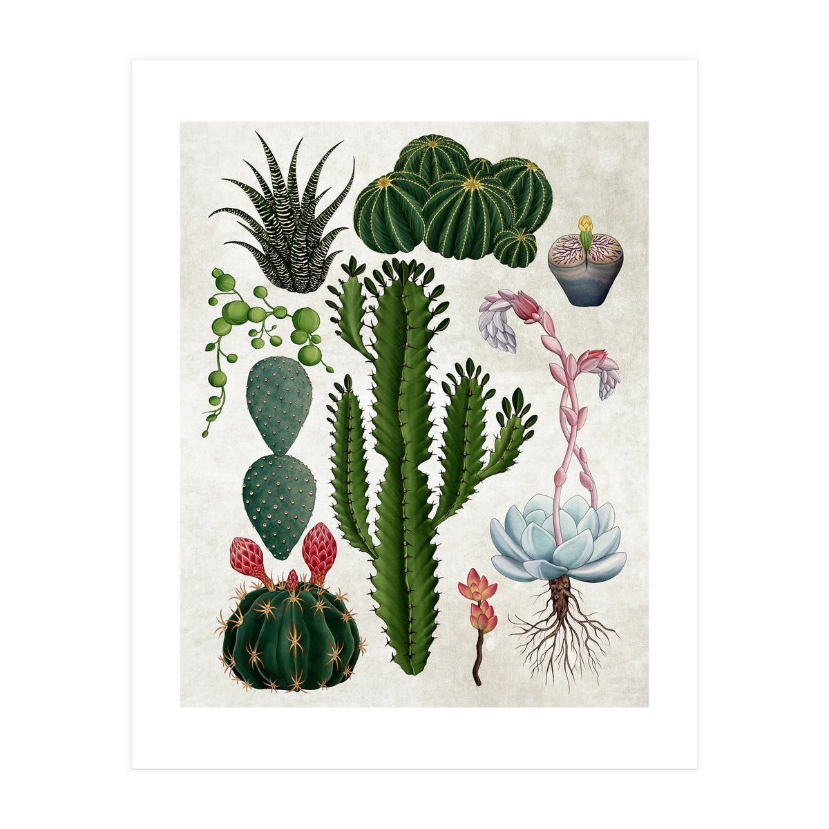 botanical (Print Only)