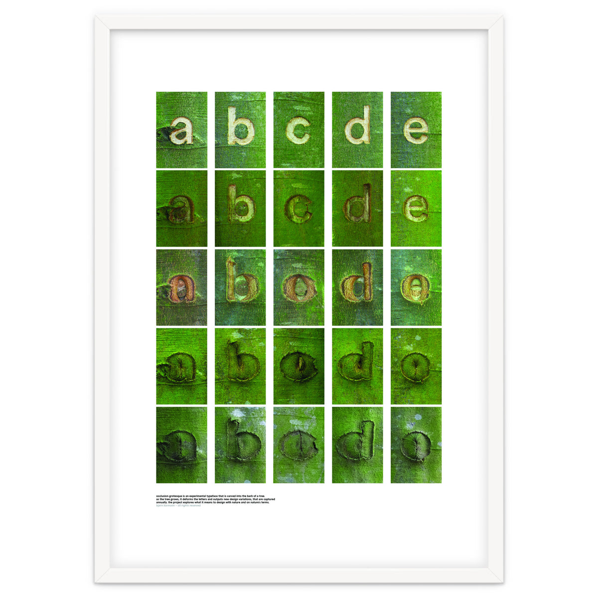 abcde