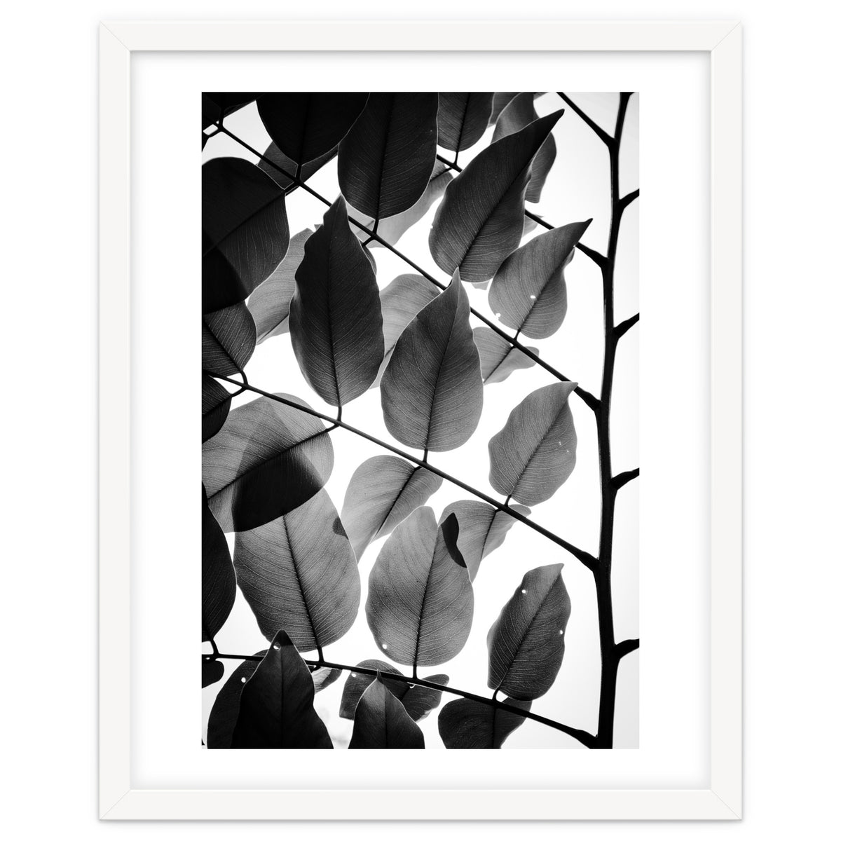 Branches and Leaves II