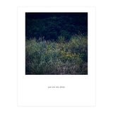 you are not alone - Nature Photography (Print Only) thumbnail