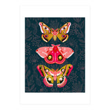 Lepidoptery Study No. 4 (Print Only) thumbnail