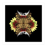 Metamorphosis (Print Only) thumbnail