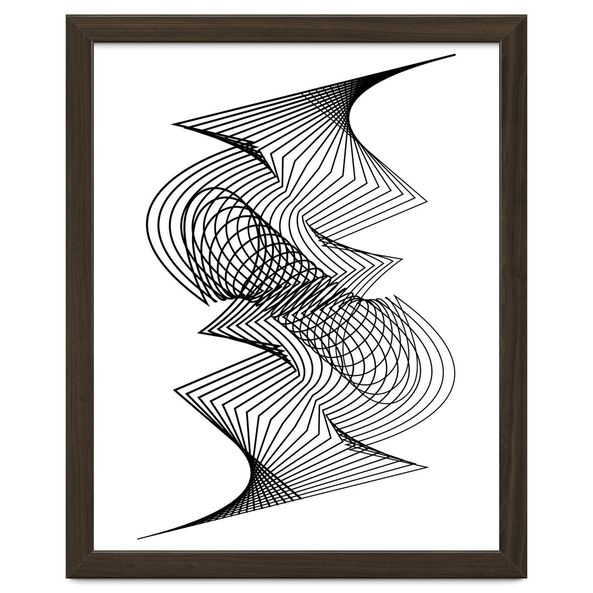 Organized Chaos_White