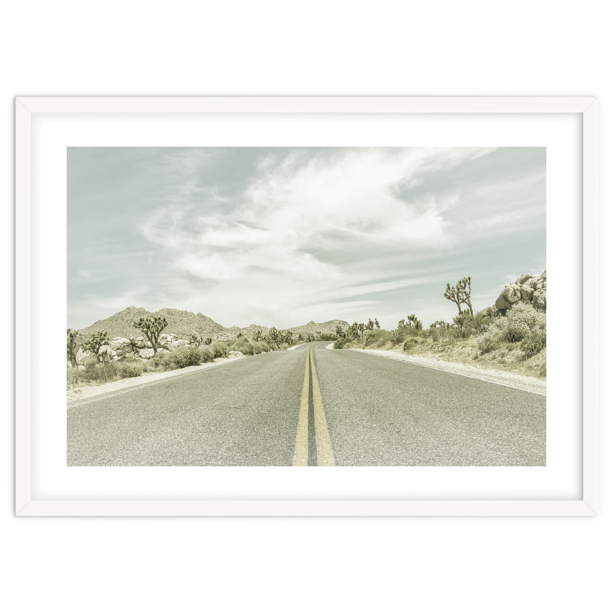 Joshua Trees, Park Boulevard | Vintage