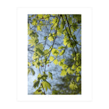 Wellbeing (Print Only) thumbnail