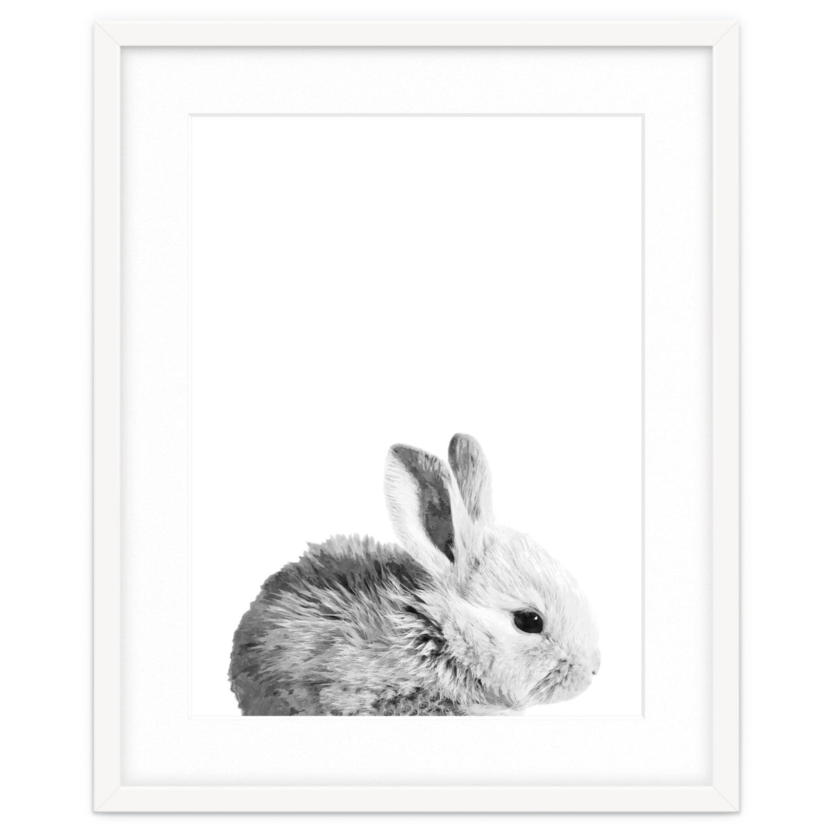 Black and White Bunny Portrait