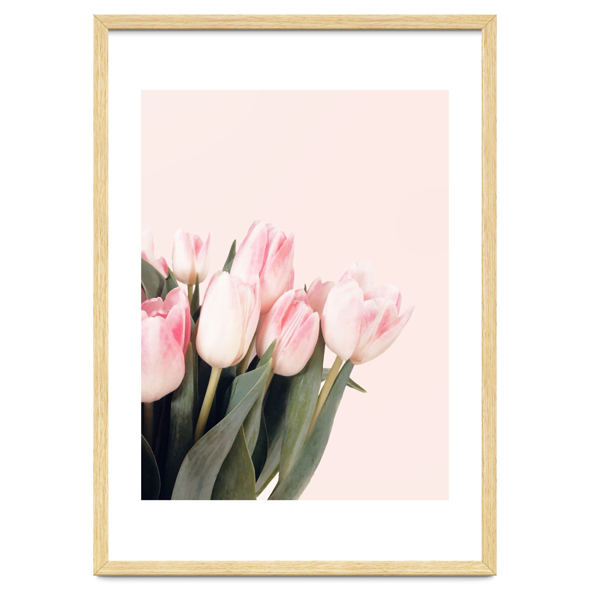 Pink Tulips