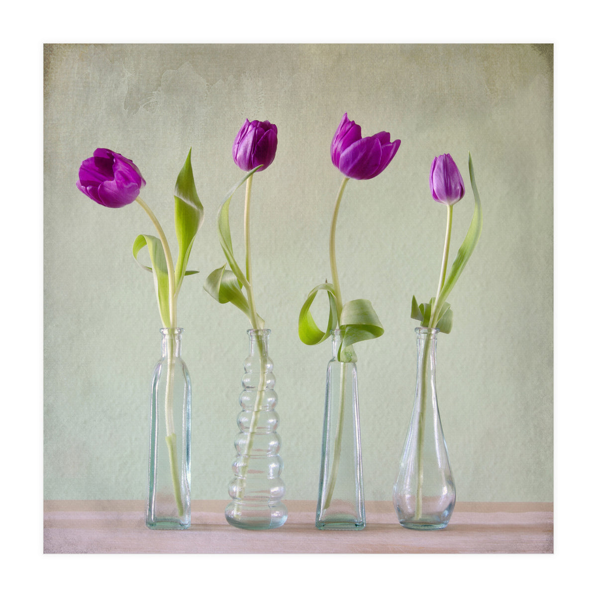 Tulips (Print Only)