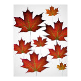 Autumn  leaves (Print Only) thumbnail