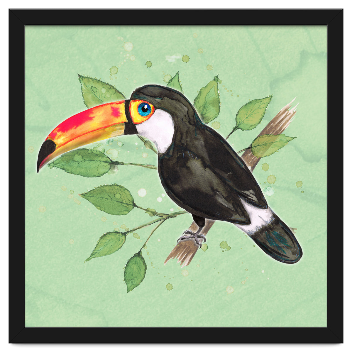 Toco toucan